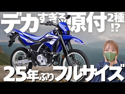 原付専門店 げんチャんねる - YouTube