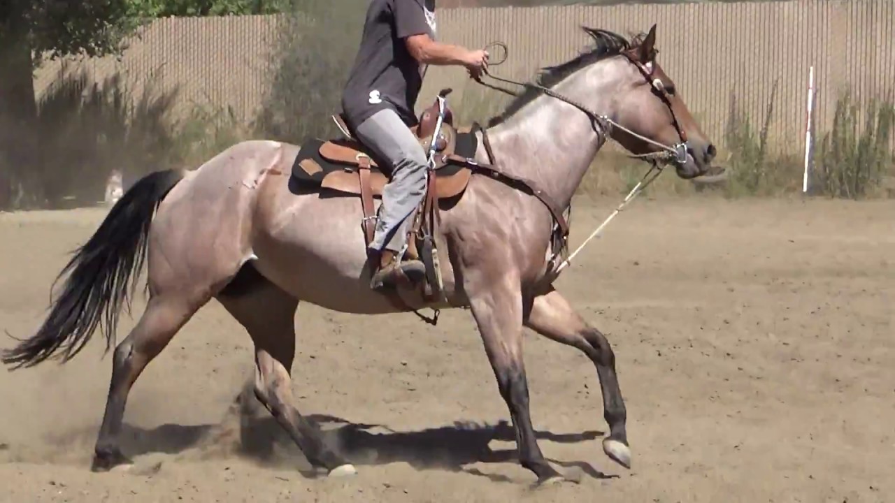 2018 09 01 Baylee and Cindi Gereaux