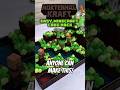 QUICK And Easy Minecraft Cake Tutorial Minecraft Shorts Shortsfeed 