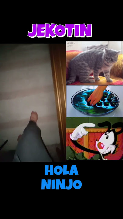 Hola NINJA 🤪👍