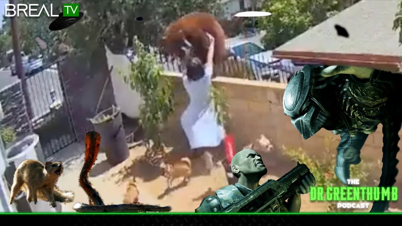 The Dr. Greenthumb Podcast #262 - Part 1