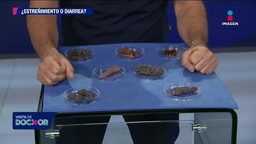 Importancia en los tipos de materia fecal | Visita de Doctor