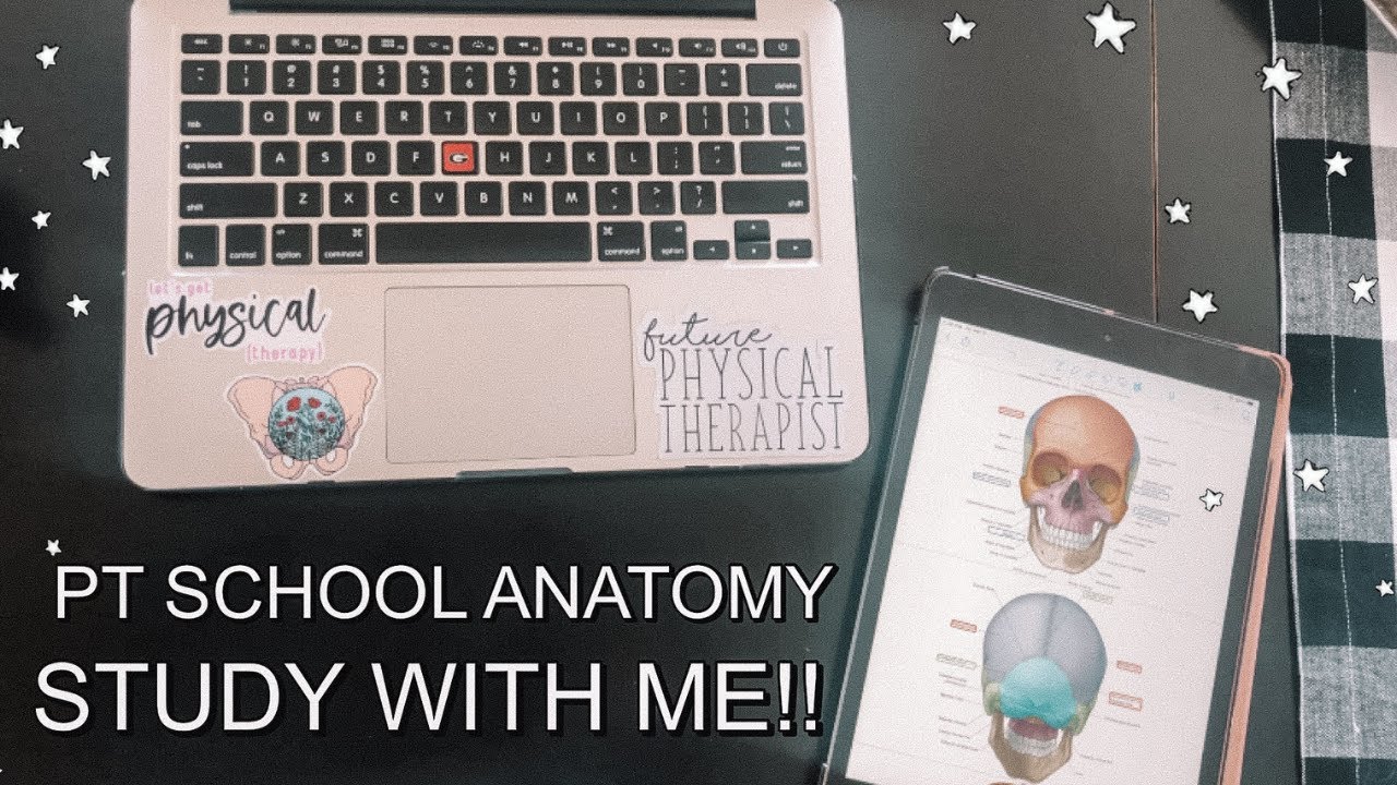 PT SCHOOL STUDY WITH ME | best anatomy study techniques + giveaway!