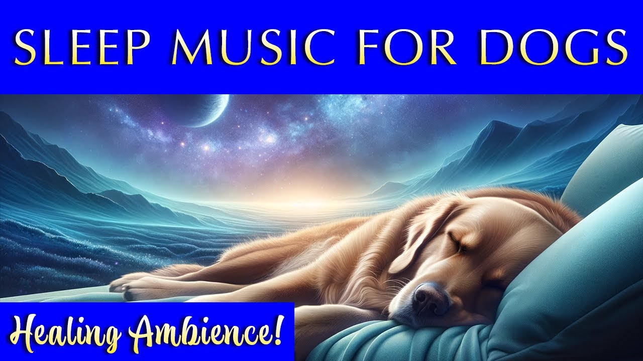 Pamper Your Pooch and Yourself 💤🐶 Tranquil Music for Sleep and Relaxation