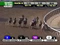 2008 Champagne Stakes