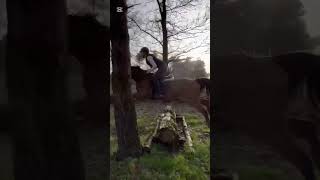 Dicapo Crosstraining Met Elke