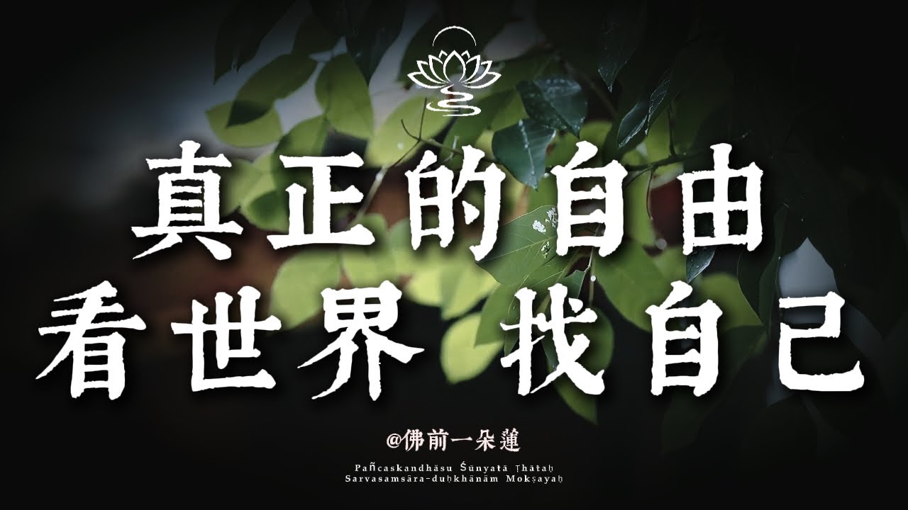 希望被愛，是你最後一個不自由的原因——佛學裏的自由之道丨佛前一朵蓮 #修行 #國學 #人生感悟 #治癒 #開悟