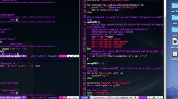 Updater Script Vundle Pathogen Raspberry Pi SSH Bash Script