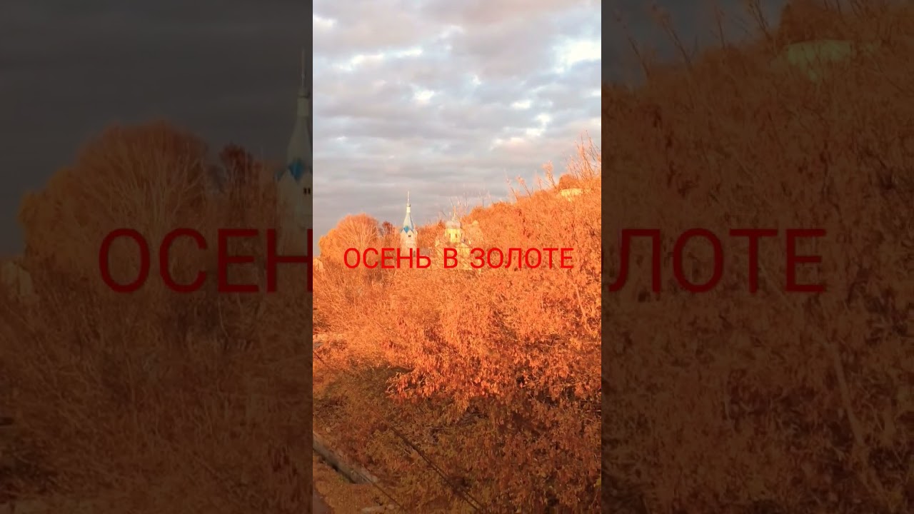 Вестов осень в золоте