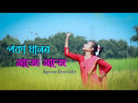 Poka Dhanor Maje Maje  Manjyotsna Mahanta Goswami  Assamese Dance Video  Chayanika