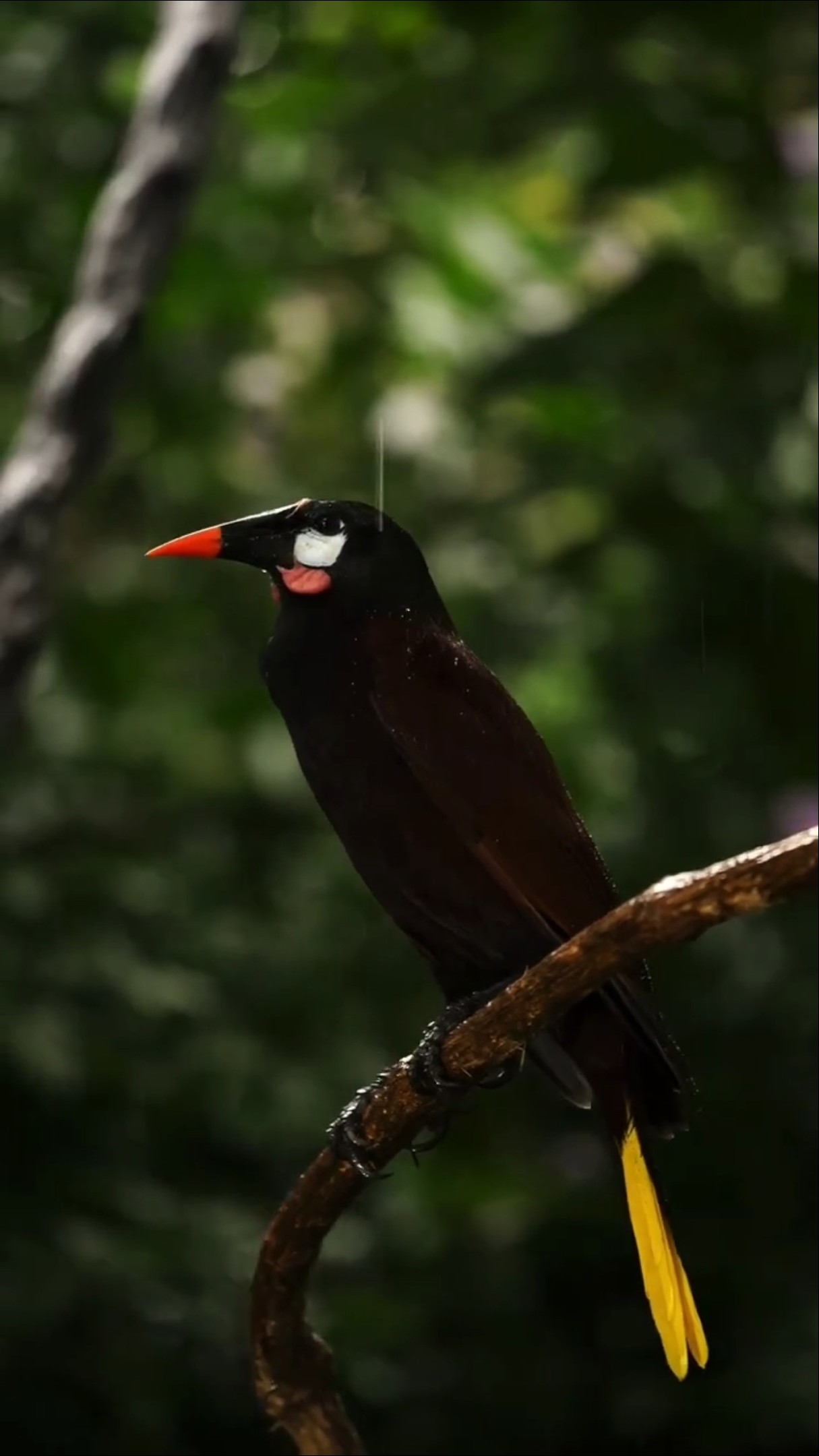 📺வைரல் தகவல்🤩 - ShareChat