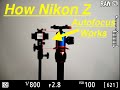 The Complete Autofocus Guide! Nikon Z6  Nikon Z7 and Nikon Z50. Best Autofocus Settings