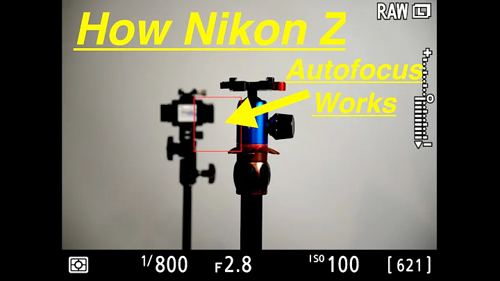 The Complete Autofocus Guide! Nikon Z6 Nikon Z7 Nikon Z5 Nikon Z50. Best Autofocus Settings.