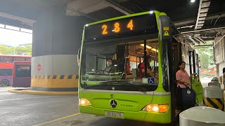 Tower Transit Singapore | Service 284 (Hyperlaspes)