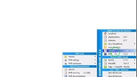 PHP#001 How to Solve WAMP Won