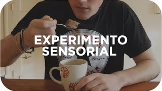 Thumbnail image for EXPERIMENTO SENSORIAL