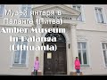 Amber Museum in Palanga Lithuania Музей янтаря в Паланге