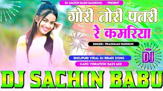 Gori Tori Patari Re Kamariya #Praduman Pardeshi Hard Vibration Mixx Dj Sachin Babu BassKing