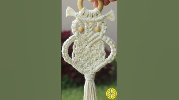 🦉Coruja de Macramê 🦉Tutorial no canal! #macrametutorial #macrame #macramecreation #macramepattern