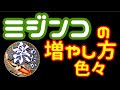 メダカにはミジンコ！増やし方いろいろあります！生クロレラはもちろん、それ以外も培養方法をお伝えします。【楽めだか】オオミジンコを簡単に増やす！初心者でも大丈夫！