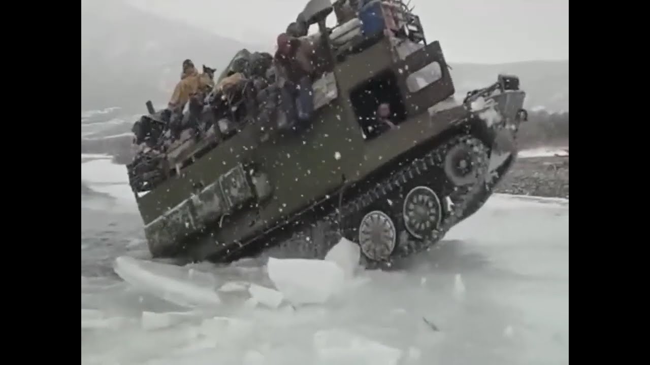 ,What an amazing AI video, keep watching, funny videos, what a thrilling video that will scare you.