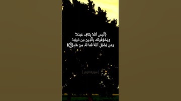 سورة الزمر الآية ٣٣ الى ٣٧ بصوت الشيخ ماهر المعيقلي