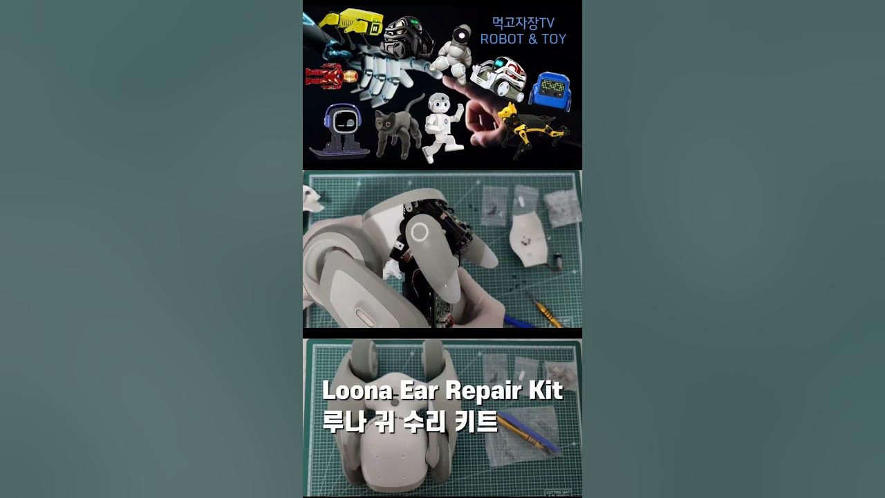 [Shorts][장][로봇][루나] Loona Ear Repair Kit 루나 귀 수리 키트 모터 교체 리뷰 짧은영상 - YouTube