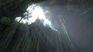 The Isle News Updates: Deino and Ptera Details, Diet, Perks, Map Changes, and More