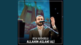 Allahın Aslani Ali