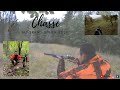 Chasse battue au grand gibier 1