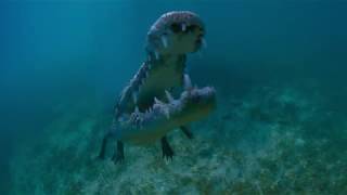 Cuba - Trailer