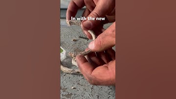 Repacking a propshaft stuffing box #boat #mechanical #propshaft #fixed  #yacht #engine