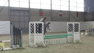 Touareg 5yo hunter prospect indoor