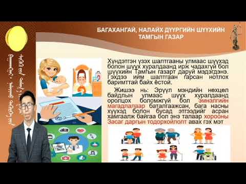 Шүүх хуралдаанд оролцох иргэдийн төлөөлөгчийн эрх зүйн зохицуулалт