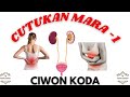 Ciwon Sanyi Ciwon Koda