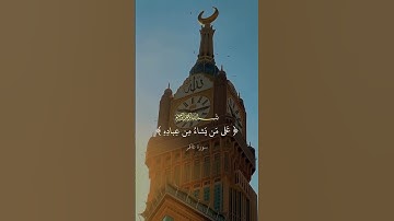 ﴿فَادعُوا اللَّهَ مُخلِصينَ لَهُ الدّينَ وَلَو كَرِهَ الكافِرونَ﴾ #اكسبلور #تلاوة_خاشعة #قرآن