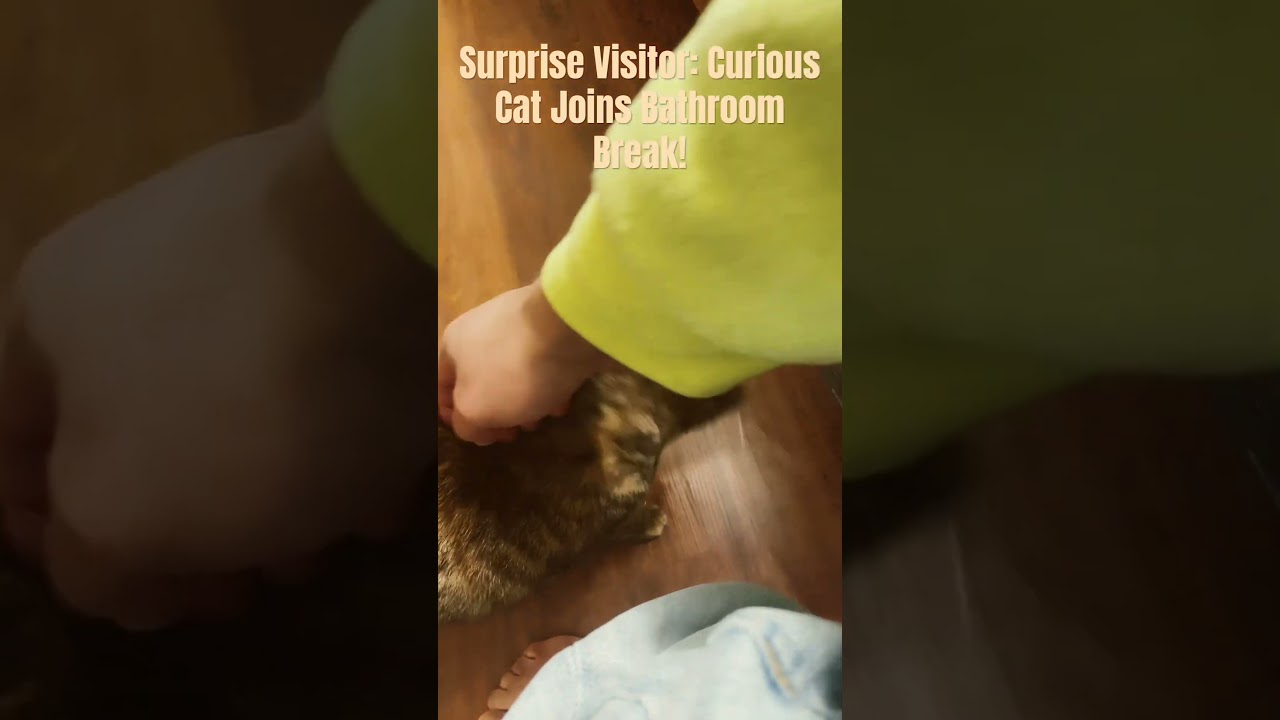 "Surprise Visitor: Curious Cat Joins Bathroom Break!" 
