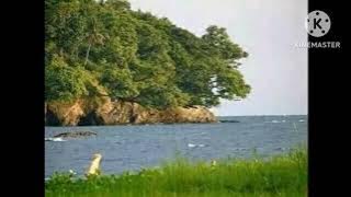 Basil Blitz Greg MBE Sariva Soa Zohnsil Collection