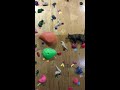 Cool Cat Conquers Climbing Wall