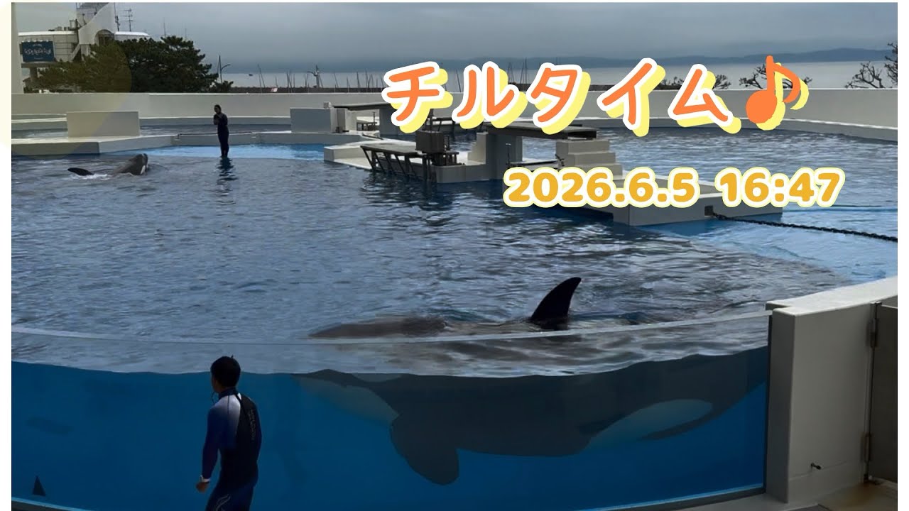 『ちくまるページ』 Chill time♪ 2026.6.5 16:47 - YouTube
