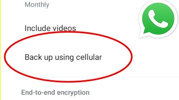 WhatsApp || What is Back up using cellular Feature || Chat backup in WhatsApp