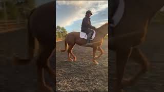 Ad ref 240290 Video 2