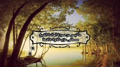 ما تيسر من سورة المائدة الشيخ مصطفى ٢