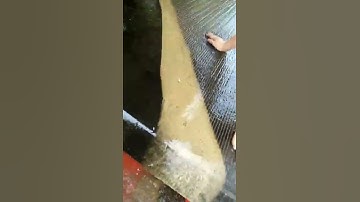 ET 6-S Shaking table working video for gold mining