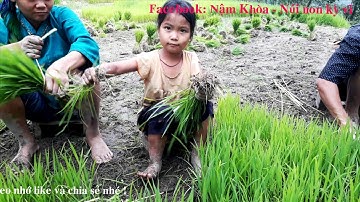 Trải nghiệm ruộng bậc thang xã Nậm Khòa, Hoàng Su Phì, Hà Giang.