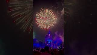 Magic kingdom Park  # 미국#Florida#disney#fireworks