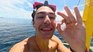 Download Lagu Nadamos entre Millones de Sardinas MP3