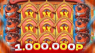 :    !!!   800.000     DOG HOUSE MEGAWAYS!!!