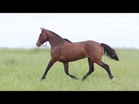 LOTE 23 CAPANEGRA TERRAZA
