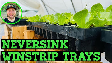NEVERSINK FARM WINSTRIP TRAYS REVIEW